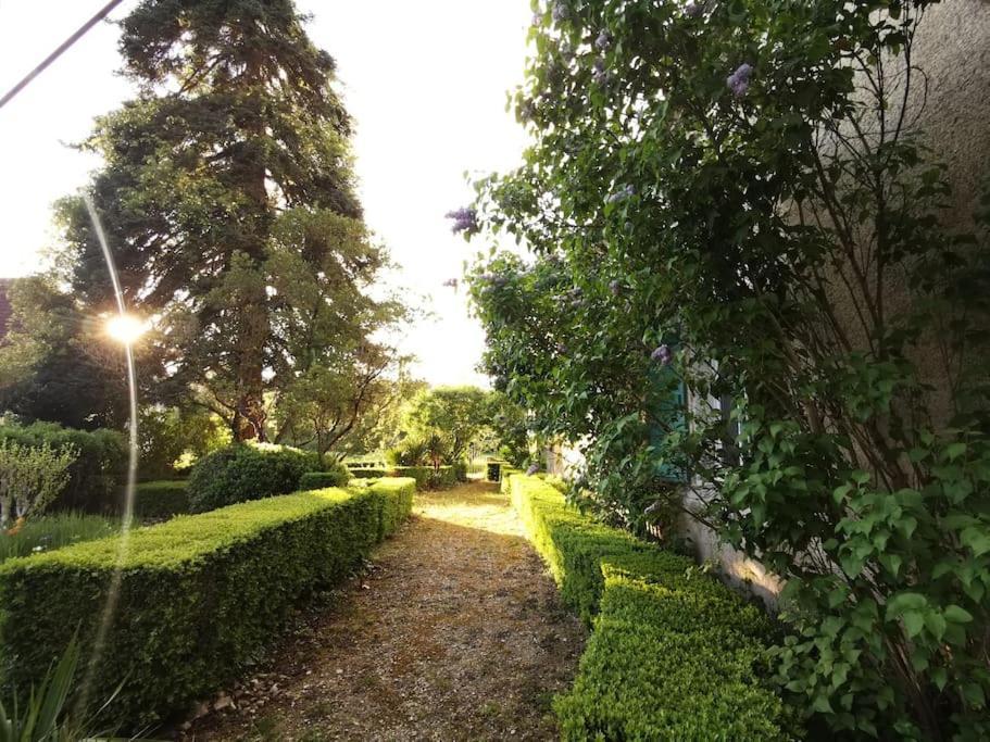 Apartamento Charmant Studio Avec Jardin A La Campagne Sur Le Chemin De Saint Jacques De Compostelle Lauzerte Exterior foto